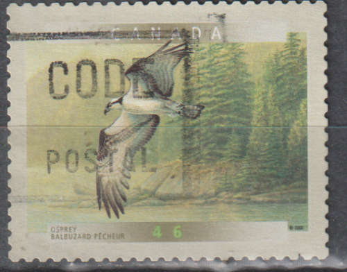 THEMATIC BIRDS CANADA ULH