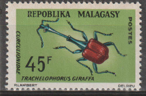 MALAGASY 1966 Native Insects UMM SG 108