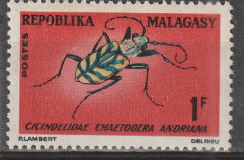 MALAGASY 1966 Native Insects UMM SG 112