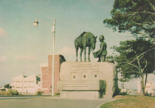 MINT POST CARD PORT ELIZABETH SA