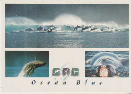 MINT POST CARD PLETTENBERG BAY SA
