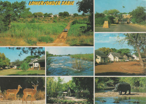 MINT POST CARD KRUGER NATIONAL PARK