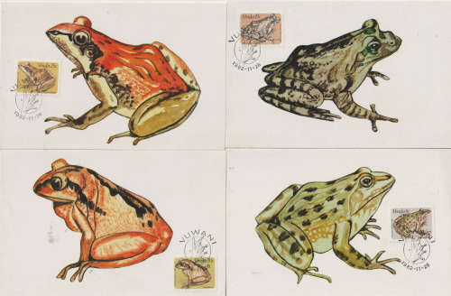 POST CARD MAXI CARD SET VENDA 1982 Frogs  LIMITED SERIES