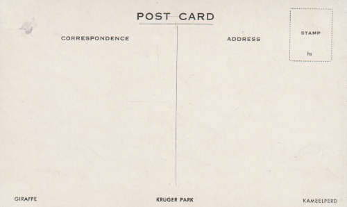 ORIGINAL PHOT POST CARD KRUGER NATIONAL PARK