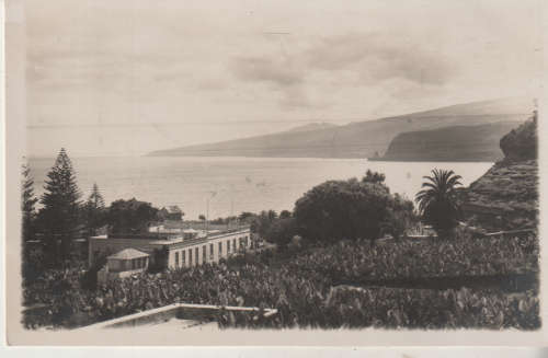 MINT POST CARD