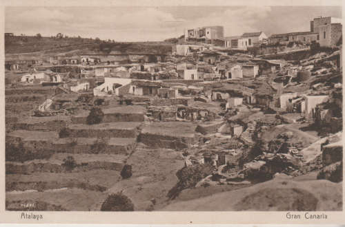 MINT POST CARD
