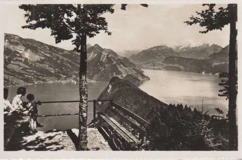 MINT POST CARD