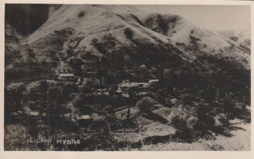 MINT POST CARD
