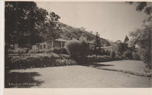 MINT POST CARD