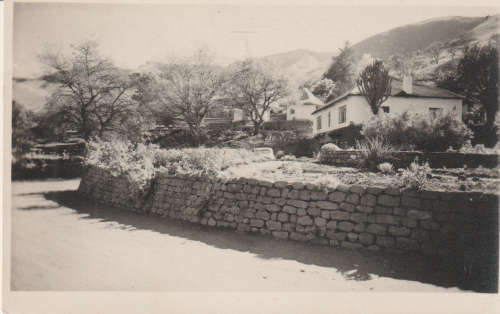 MINT POST CARD