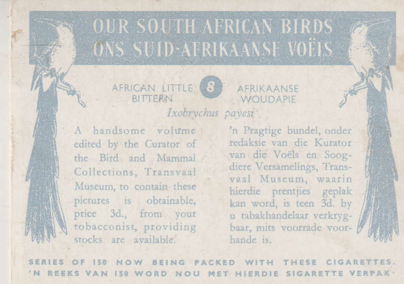 OUR SOUTH AFRICAN BIRDS CIGARETTE CARD NO, 8