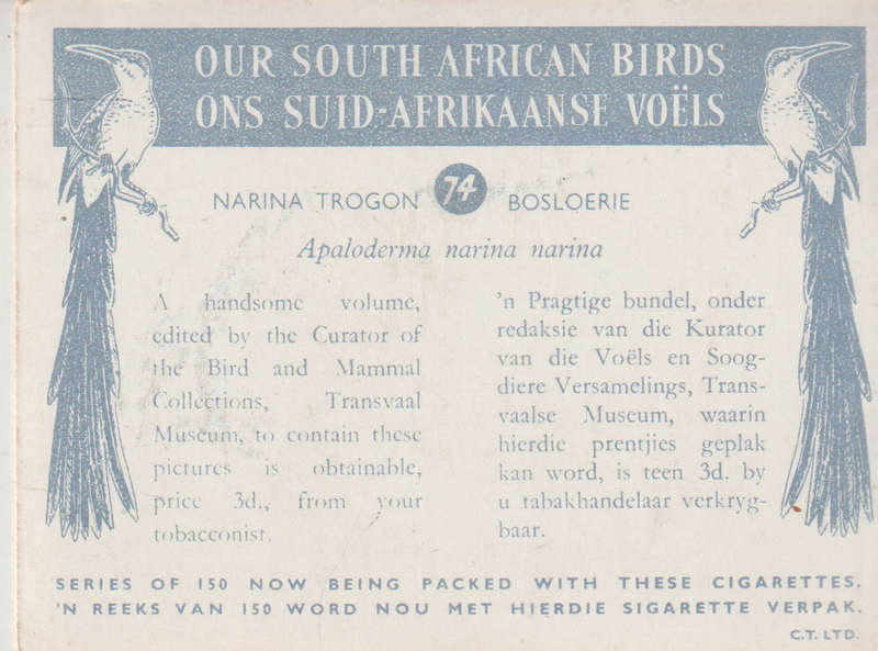 CIGARETTE CARD OUR SOUTH AFRICAN BIRDS NO. 74