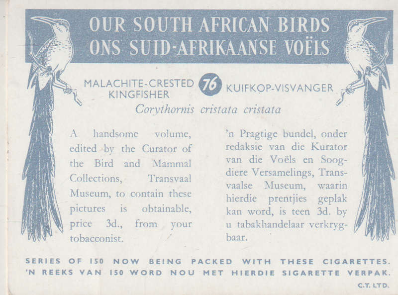 CIGARETTE CARD OUR SOUTH AFRICAN BIRDS NO. 76
