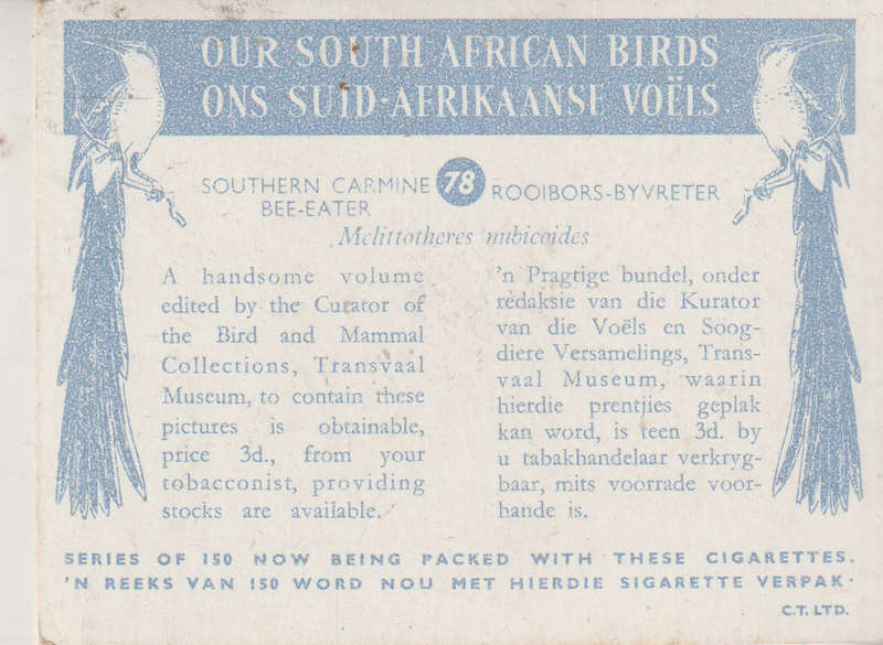 CIGARETTE CARD OUR SOUTH AFRICAN BIRDS NO. 78