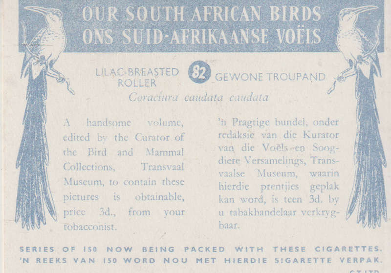 CIGARETTE CARD OUR SOUTH AFRICAN BIRDS NO. 82