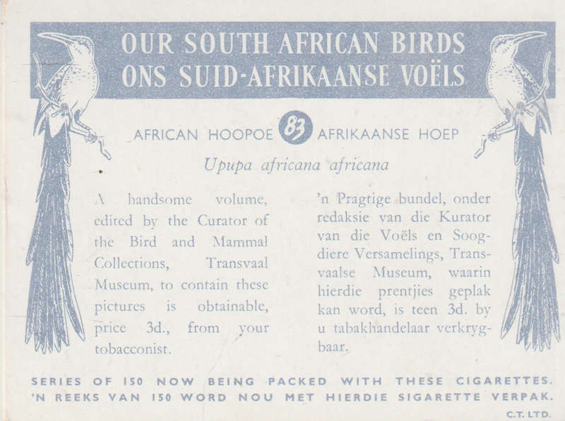 CIGARETTE CARD OUR SOUTH AFRICAN BIRDS NO. 83