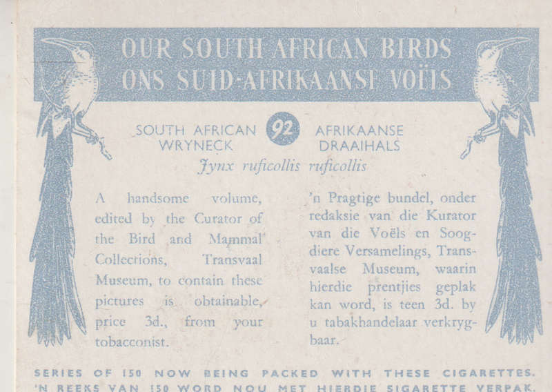 CIGARETTE CARD OUR SOUTH AFRICAN BIRDS NO. 92
