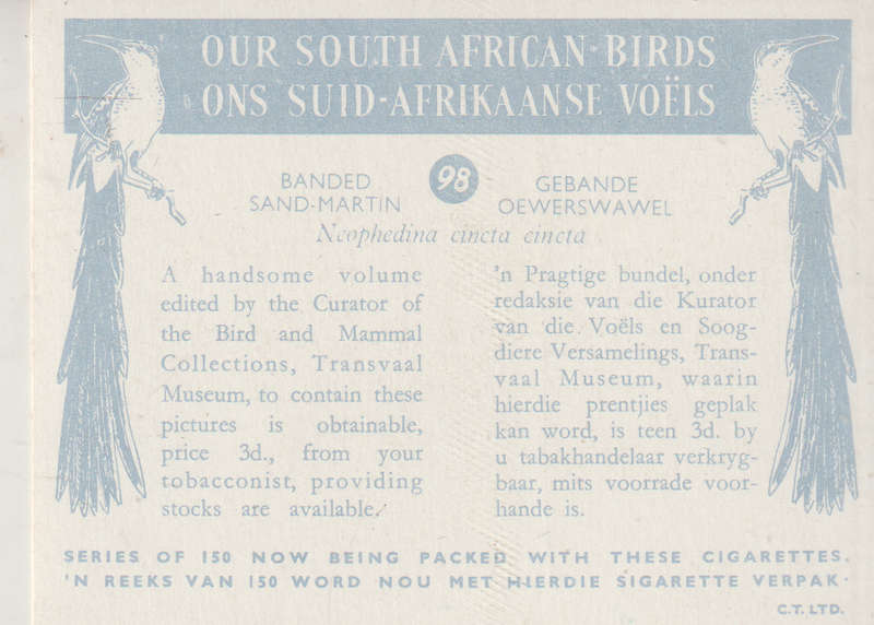 CIGARETTE CARD OUR SOUTH AFRICAN BIRDS NO. 98
