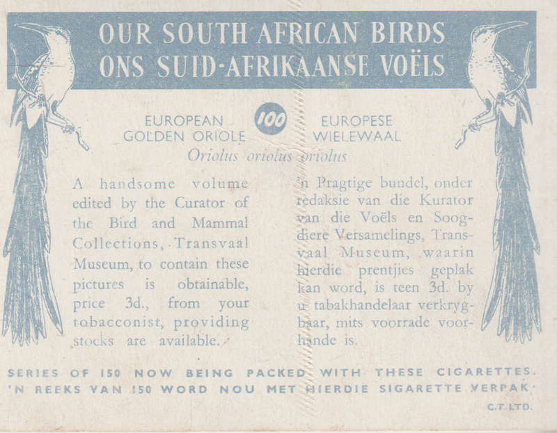 CIGARETTE CARD OUR SOUTH AFRICAN BIRDS NO. 100