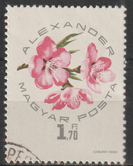 THEMATIC FLOWERS HUNGARY ULH