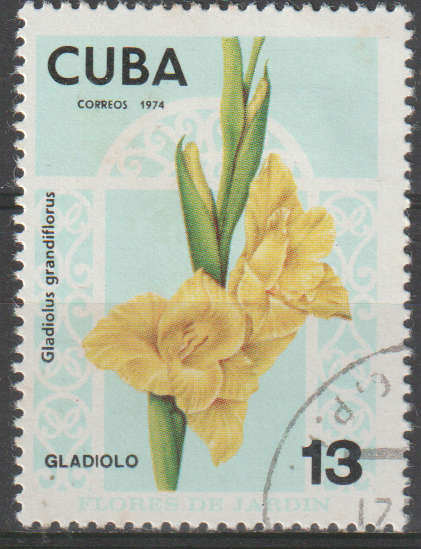 THEMATIC FLOWERS CUBA ULH