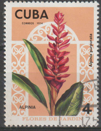 THEMATIC FLOWERS CUBA ULH