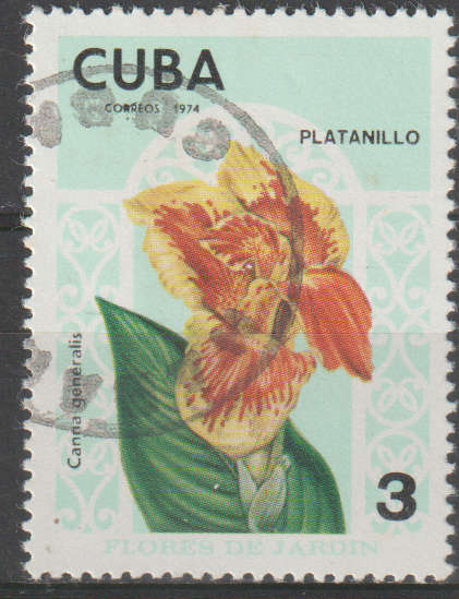 THEMATIC FLOWERS CUBA ULH