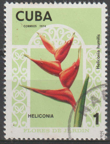 THEMATIC FLOWERS CUBA ULH