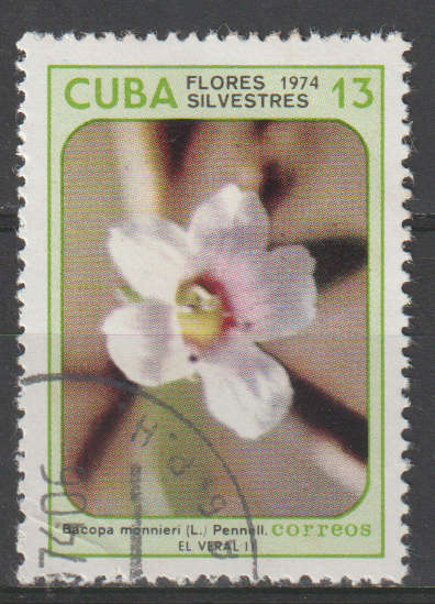 THEMATIC FLOWERS CUBA ULH