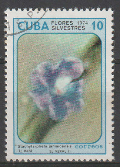 THEMATIC FLOWERS CUBA ULH