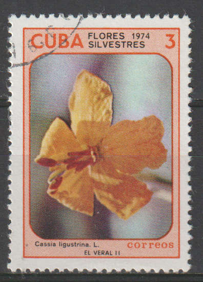 THEMATIC FLOWERS CUBA ULH