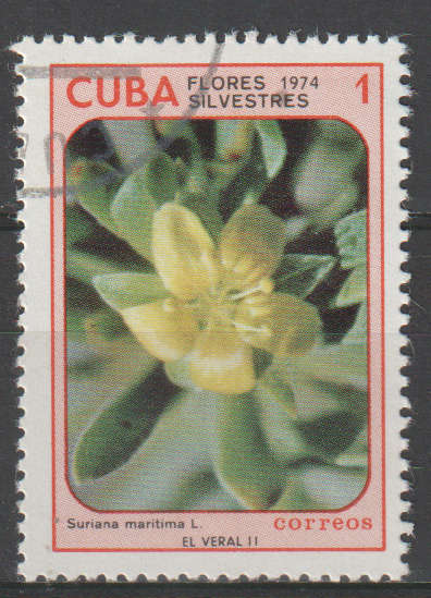 THEMATIC FLOWERS CUBA ULH