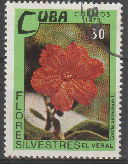 THEMATIC FLOWERS CUBA ULH