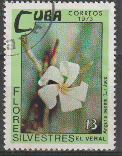 THEMATIC FLOWERS CUBA ULH