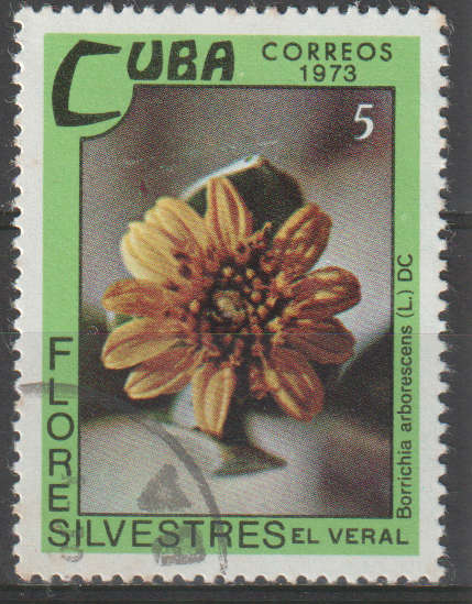 THEMATIC FLOWERS CUBA ULH
