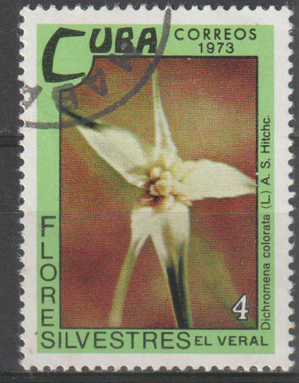 THEMATIC FLOWERS CUBA ULH