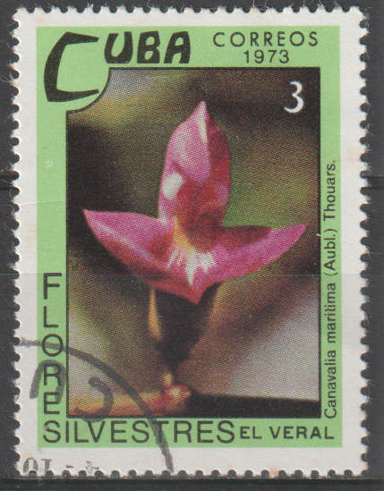 THEMATIC FLOWERS CUBA ULH