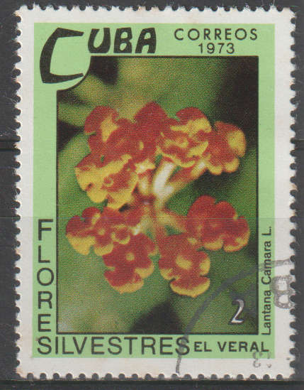 THEMATIC FLOWERS CUBA ULH