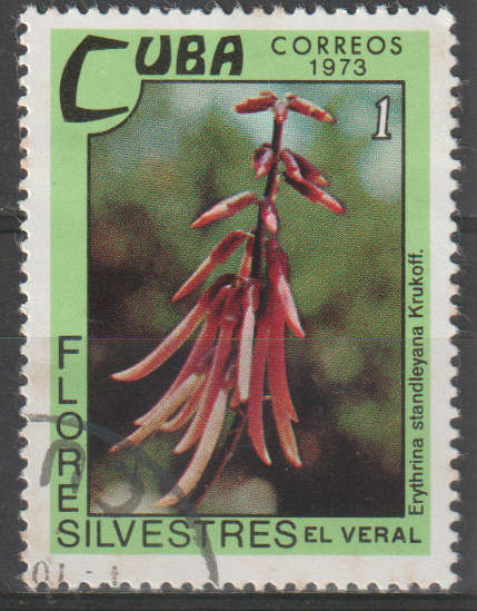 THEMATIC FLOWERS CUBA ULH