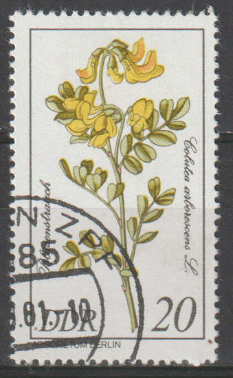 THEMATIC FLOWERS DDR ULH