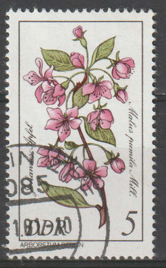 THEMATIC FLOWERS DDR ULH