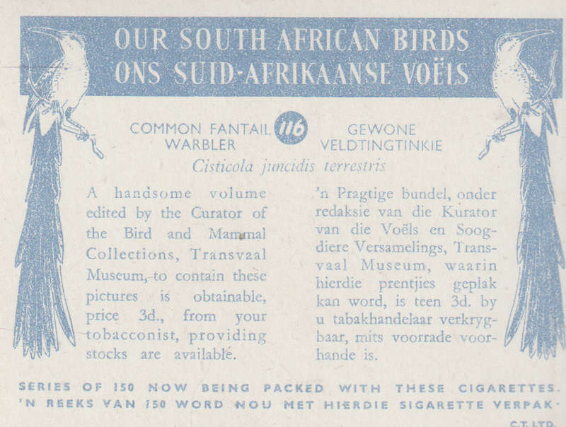 CIGARETTE CARD OUR SOUTH AFRICAN BIRDS NO. 116