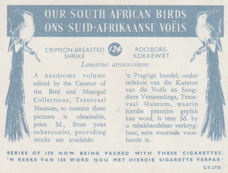 CIGARETTE CARD OUR SOUTH AFRICAN BIRDS NO. 124