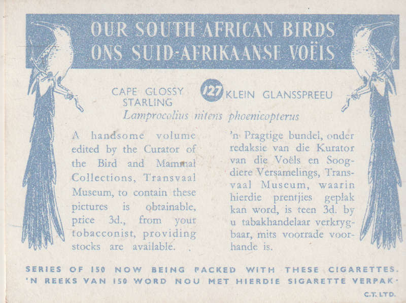 CIGARETTE CARD OUR SOUTH AFRICAN BIRDS NO. 127
