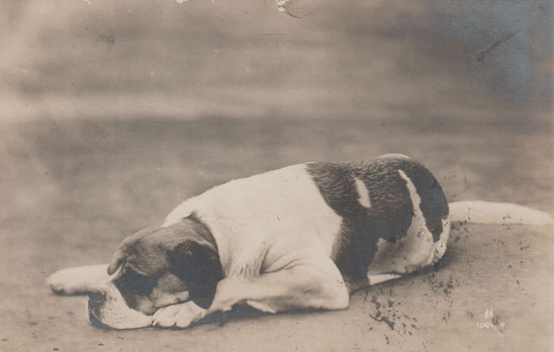 VINTAGE USED POST CARD NATAL 1907