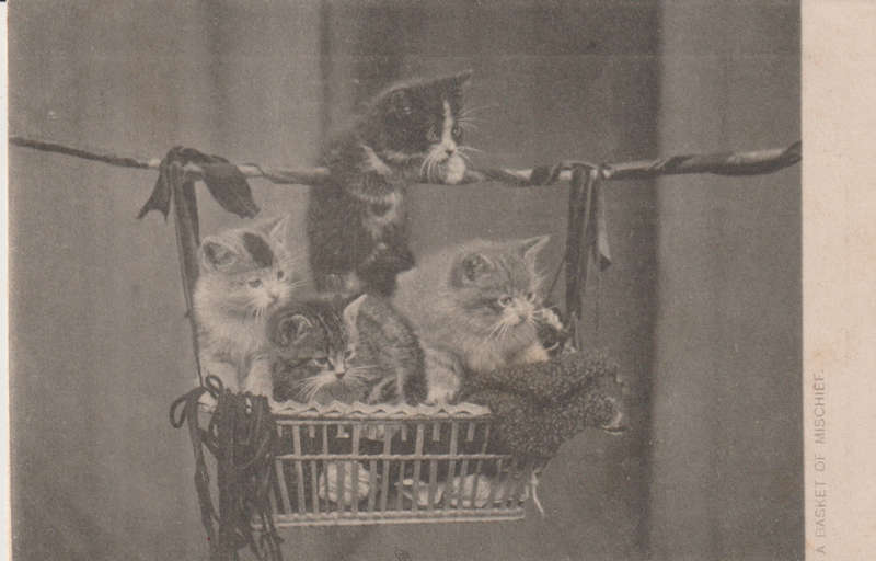 VINTAGE USED POST CARD NATAL 1904