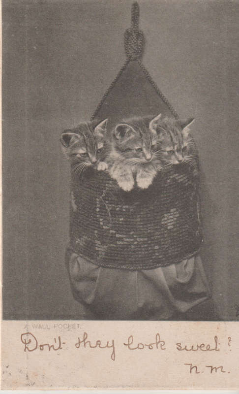VINTAGE USED POST CARD NATAL 1904