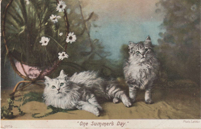 VINTAGE USED POST CARD NATAL 1910