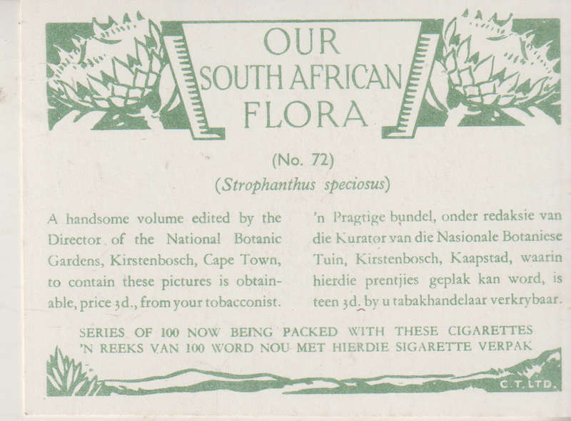 CIGARETTE CARD OUR SOUTH AFRICAN FLOWERS NO 72