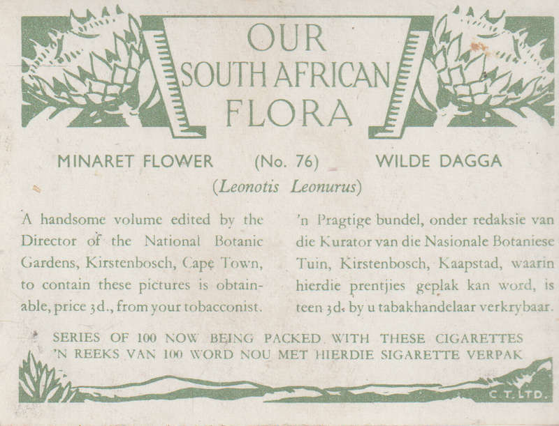 CIGARETTE CARD OUR SOUTH AFRICAN FLOWERS NO 76